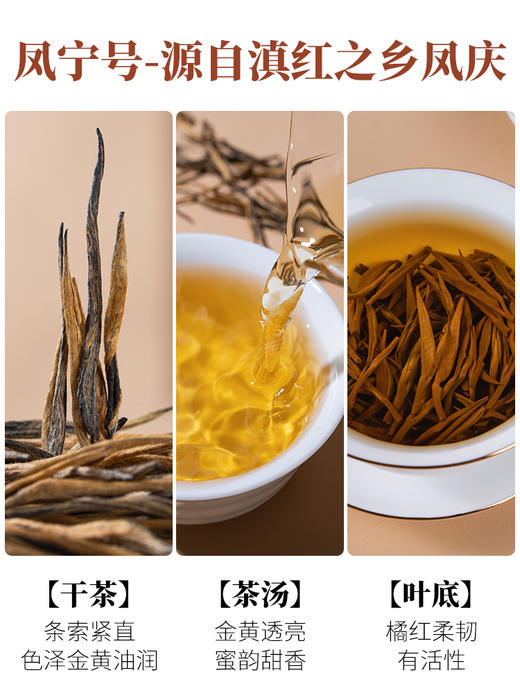 凤宁号【琥珀金针】特级单芽  花香滇红茶 100克/盒 商品图4