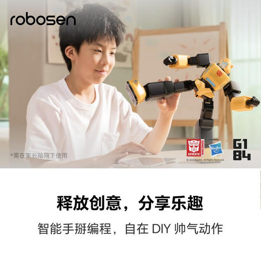 乐森 G1大黄蜂机器人 DHFP-BC 商品图4