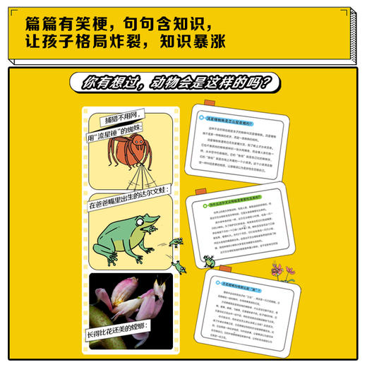 谢耳朵漫画·动物大爆炸（套装） 商品图4