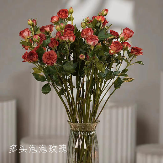 多头玫瑰 巧克力泡泡 10支/扎 云南基地发货 （价格已包含包装费用） 运费以实际为准，多退少补。 商品图2