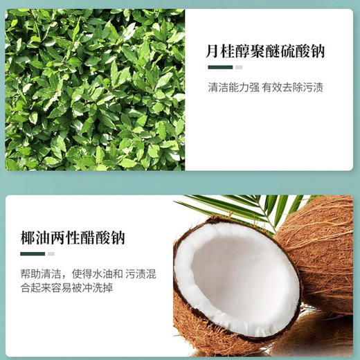 [2025]艾草洗衣液｜ （艾草防护祛螨）持久留香柔顺洁净大容量 4斤/瓶 商品图1