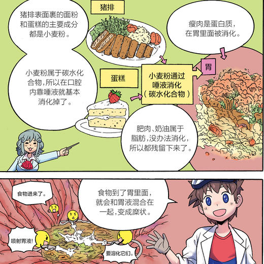 《超级科学少年》（全4册） 商品图11