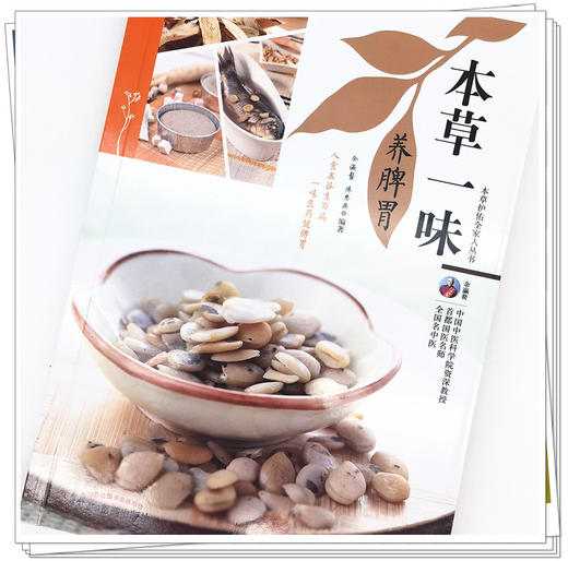 现货【出版社直销】本草一味养脾胃（本草护佑全家人丛书）余瀛鳌 陈思燕 主编 中国中医药出版社 中医养生 家庭 食疗书籍 商品图4