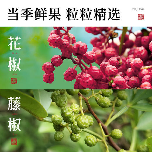 璞匠 汉源花椒油100ml 麻油香油藤椒油麻椒油 凉拌调味烹饪火锅 商品图1