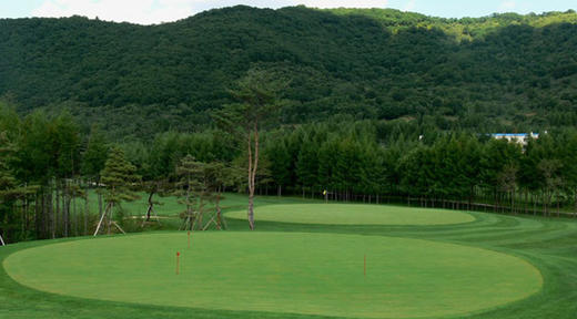 吉林长春净月潭森林高尔夫俱乐部 Jilin Jingyuetan Forest Golf Club  | 长春 球场 | 吉林 | 中国 商品图0