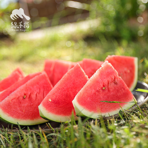 生态沙漠西瓜 | 合作生产 * Ecological desert watermelon  | Coproduction 商品图3