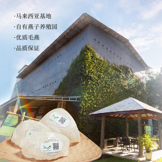 国济堂.溯源干燕窝礼盒 50g 小盏（红色） 商品图5
