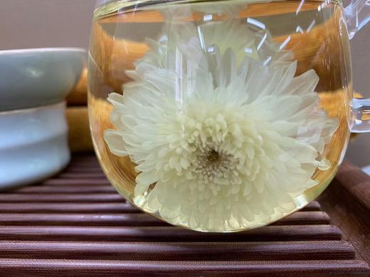 黄山菊花 商品图1