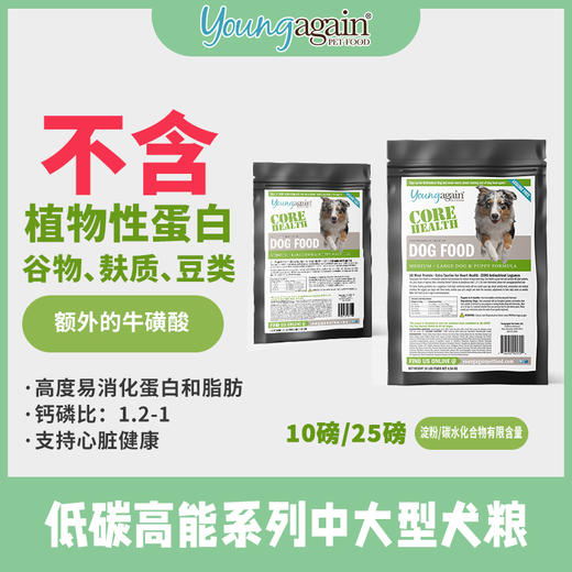 美国YoungAgain全犬期无谷高蛋白低碳水YG狗粮猪肉零淀粉 商品图1