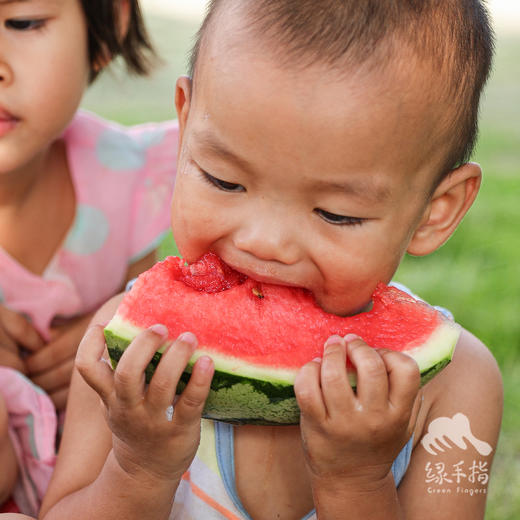生态沙漠西瓜 | 合作生产 * Ecological desert watermelon  | Coproduction 商品图1