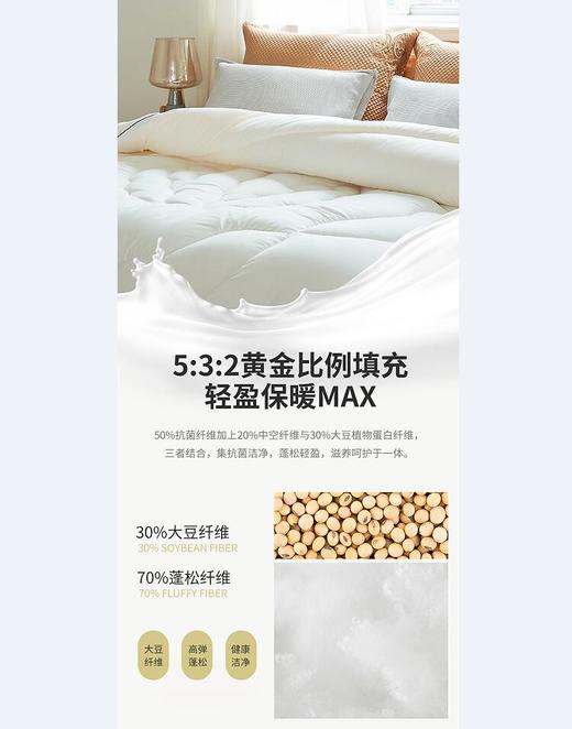 梦洁燃梦大豆抗菌春秋被 1010287653 商品图4