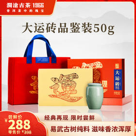 【高货品鉴】澜沧古茶2022年大运砖普洱茶生茶会员专享藏养装（2个规格可选）