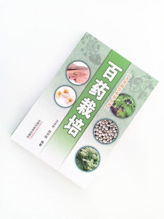 百药栽培【王文全、赵中振】 商品图3