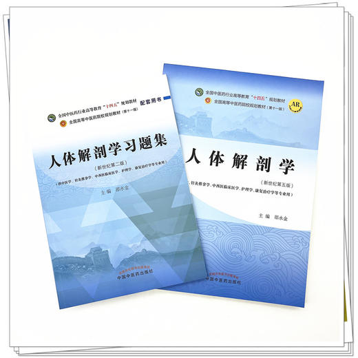 全2册 人体解剖学+人体解剖学习题集 全国中医药行业高等教育十四五规划教材 供中医学针灸推拿学护理学康复治疗学等专业用 商品图2