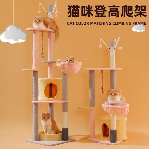 猫爬架子猫窝一体猫架猫树一体麻绳猫抓板剑麻宠物猫咪用品玩具 商品图0