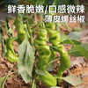 每日现摘 农家螺丝椒 形如螺丝  皮薄脆嫩  口感微辣  辣椒  300g 商品缩略图4