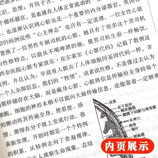 正版2本 靳三针临症配穴法第2二版+靳三针疗法流派临床经验全图解中医针灸柴铁劬针灸穴名解对常见多发病治疗人民卫生出版社临症配 商品图4