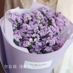 勿忘我 浅紫色 1kg/扎 以实物为准 云南基地发货（价格已包含包装费用） 运费以实际为准，多退少补。）