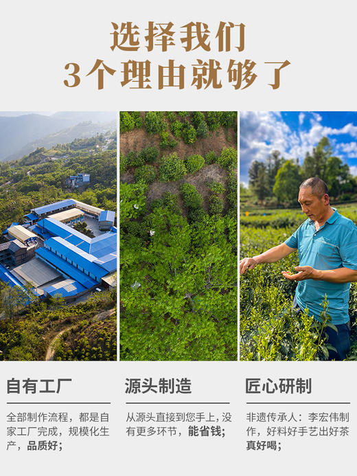 凤宁号【龙眼凤毫】特级单芽滇红茶 100克/盒 商品图5