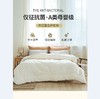 梦洁燃梦大豆抗菌春秋被 1010287653 商品缩略图0