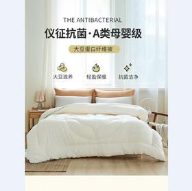 梦洁燃梦大豆抗菌春秋被 1010287653