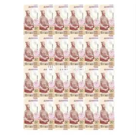 尊藏版-秦始皇兵马俑纪念券大炮筒（30周年第一组）