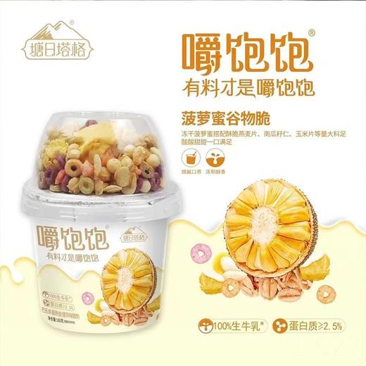 【超市】塘日塔格酸奶冻冻塔（菠萝蜜） 商品图0