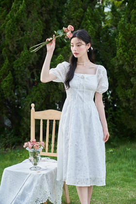 纯洁的白，美好得让人向往