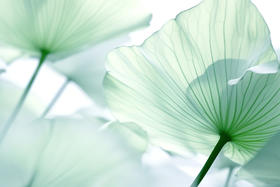 排湿气，一套就够了，仅需99元！