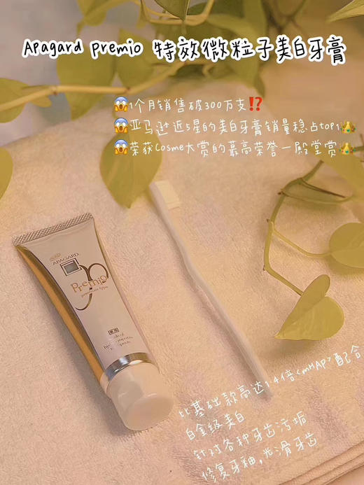 日本Apagard牙膏 商品图0