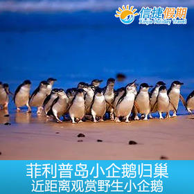 墨尔本菲利普岛观赏小企鹅归巢门票