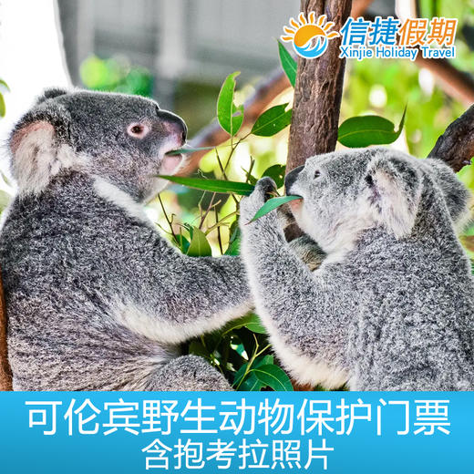 黄金海岸可伦宾野生动物保护门票+考拉照片 商品图3