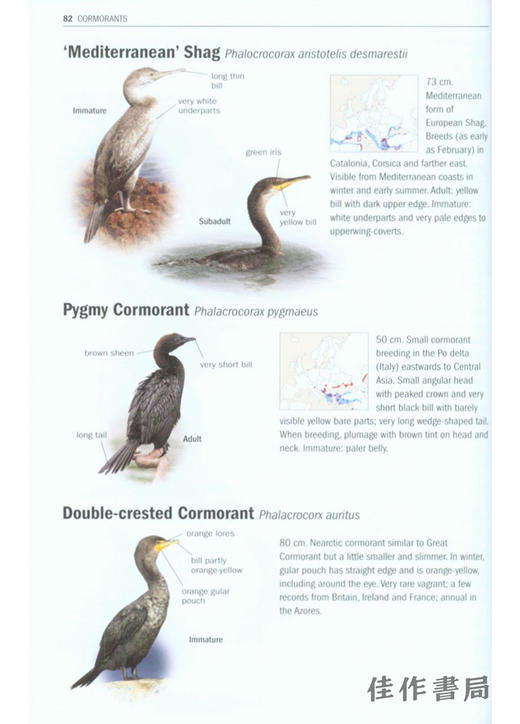 Birds of Europe、North Africa、and the Middle East: A Photographic Guide / 欧洲、北非和中东的鸟类：摄影指南 商品图1