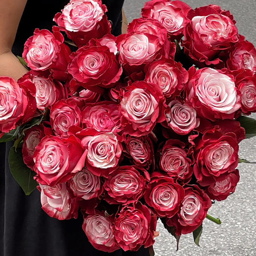 厄瓜多尔进口染色RED WINE红酒玫瑰花10支 商品图4