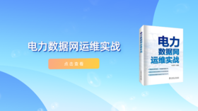 2023年第21期重点书推荐《电力数据网运维实战》