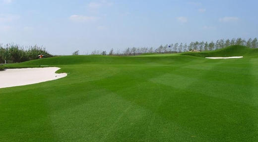 南通如东小洋口高尔夫俱乐部 Jiangsu Xiao Yang Kou Country Club  | 南通高尔夫球场 | 江苏高尔夫球场  |  中国 商品图1