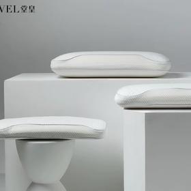 10楼堂皇   23秋冬新品 PU大面包枕芯 吊牌价690元/只    活动价299元/只