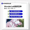 WonderLab万益蓝白芸豆60粒装（2g*60） 商品缩略图1