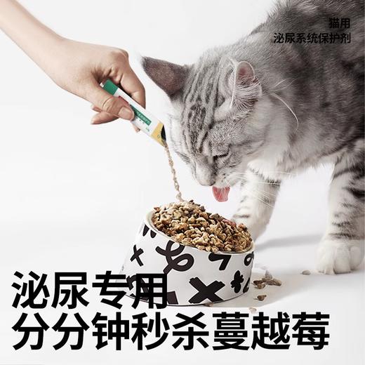 优养猫用利尿通泌尿通保护剂尿道感染利尿排尿猫咪泌尿系统剂 商品图3