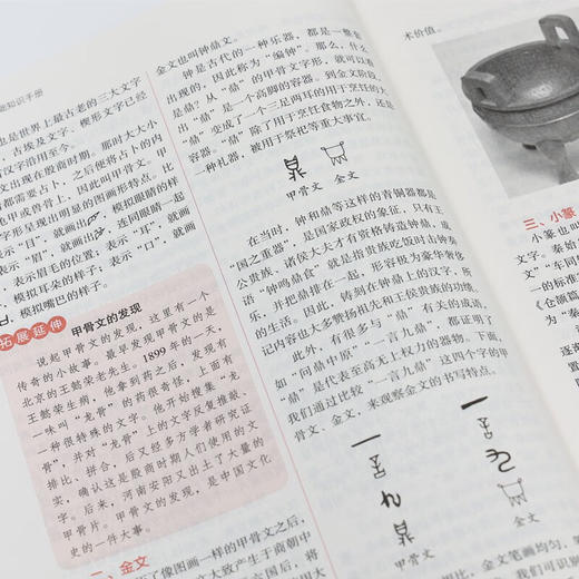 小学语文基础知识手册 林玉山 钱本殷 主编 肖振华 肖铭 副主编 商务印书馆 商品图3