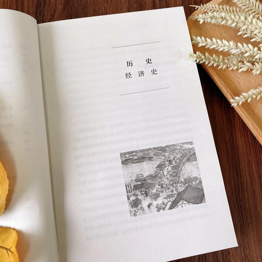 本行内外：李伯重学术随笔（光启文库） 李伯重 著 商务印书馆 商品图6