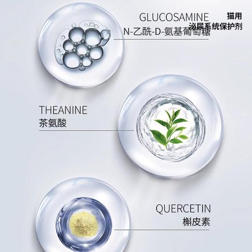 优养猫用利尿通泌尿通保护剂尿道感染利尿排尿猫咪泌尿系统剂 商品图2