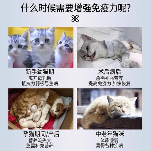 优养宠物猫咪提高幼猫免疫力活性免疫球蛋白IGY卵黄抗体小分子肽 商品图1