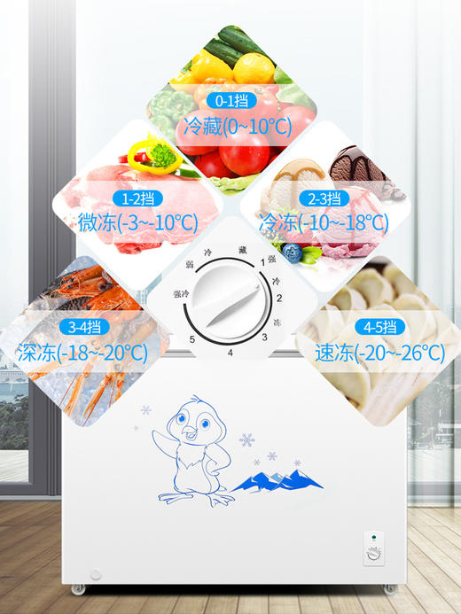 【家用电器】-AUX/奥克斯冰柜家用冷柜小型冷藏冷冻两用 商品图1