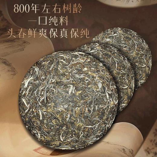 2023春茶吉顺号困鹿山古树800年普洱茶生茶叶礼盒 商品图1