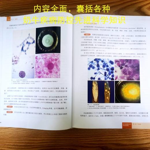 奶牛疾病防治学 铂金视频版 商品图3