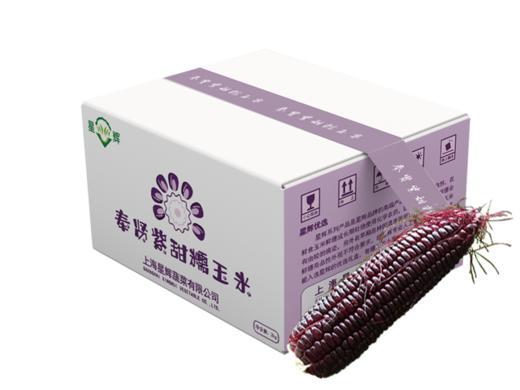 紫甜糯玉米2kg 商品图0