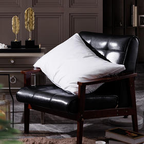 多喜爱 尊享轻奢白鹅蚕丝立体枕（白）cs