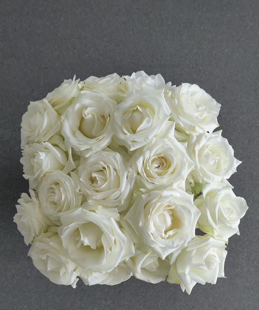 【 拍市玫瑰】骄傲  10枝/扎   约60公分 商品图5