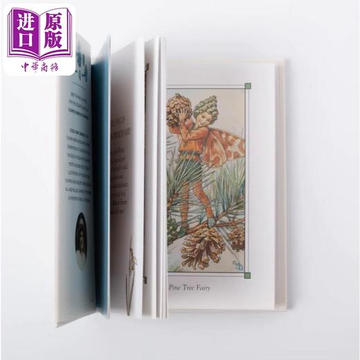 【中商原版】Cicely Mary Barker 花仙子合集 Flower Fairies 春夏秋冬之仙子4册套装 四季仙女绘本 植物花卉精美插画英文原版 商品图3